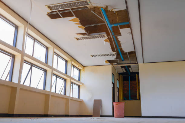 Best Sewage cleanup and water damage restoration  in Big Lake, MN