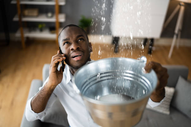 Best Water damage restoration cost  in Big Lake, MN