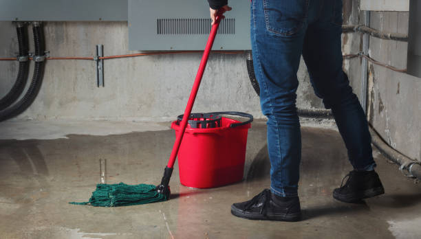 Best Residential water damage restoration  in Big Lake, MN