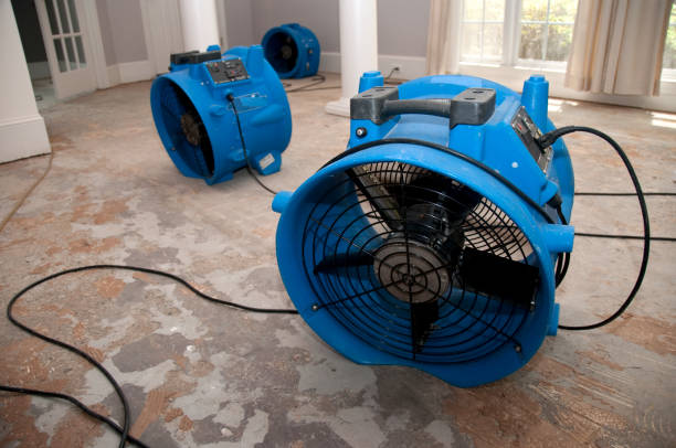 Best Flood restoration services  in Big Lake, MN