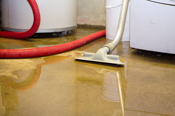 Best Flood restoration services  in Big Lake, MN